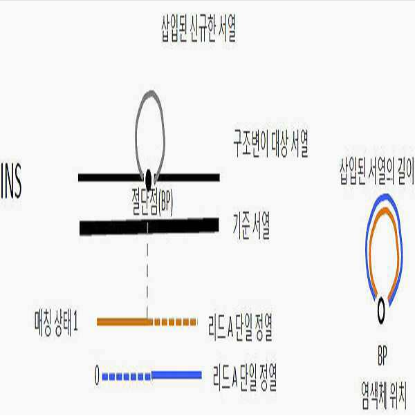 특허 제10-2082360호(염색체 구조변이 검출 장치 및 이의 제조방법, (주)아이디어라인, 