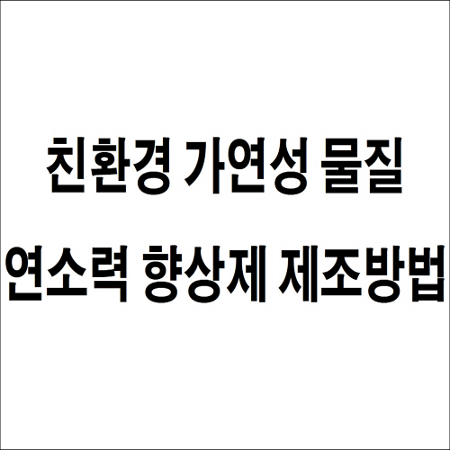 특허 제10-2216893호(친환경 가연성 물질 연소력 향상제 제조방법, 정필진)