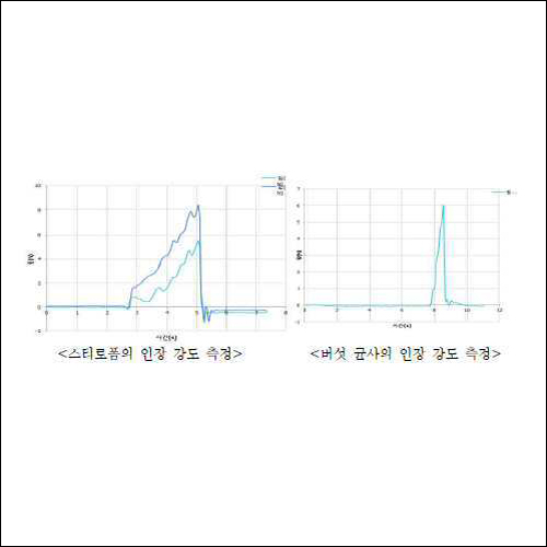 특허 제10-2256335호(버섯 균사체를 이용한 친환경 포장재 및 그 제조방법, 이범근, 