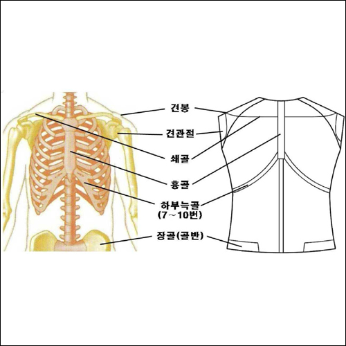 특허 제10-1071481호(상체의 바른자세 유지 및 근파워를 증가시켜 주는 기능성 의류, 연세대학교 산학협력단, 지정우, 