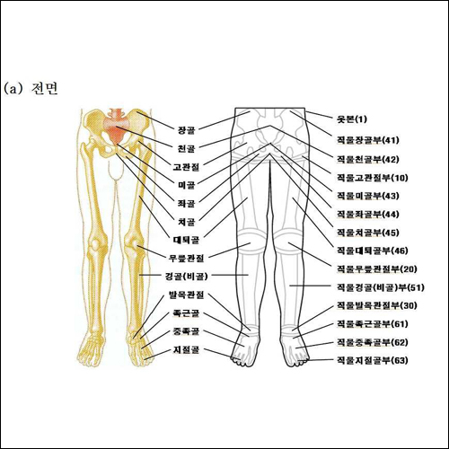 특허 제10-1223912호(하체의 균형된 자세와 근파워를 증가시겨주는 기능성 의류, 연세대학교 산학협력단, 지정우, 