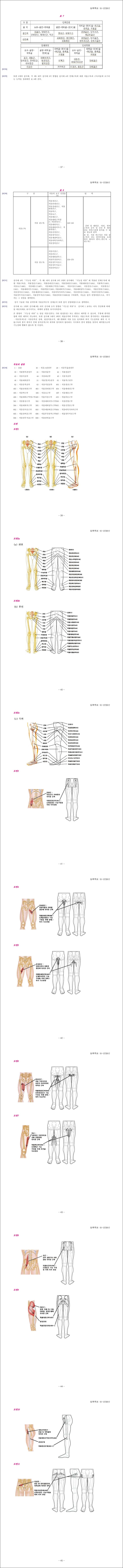 특허 제10-1223912호(하체의 균형된 자세와 근파워를 증가시겨주는 기능성 의류, 연세대학교 산학협력단, 지정우, 