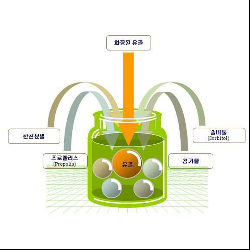 특허 제10-1220504호(친환경 생분해성 유골함을 이용하여 유골을 고체화시키는 방법, 민삼주, 