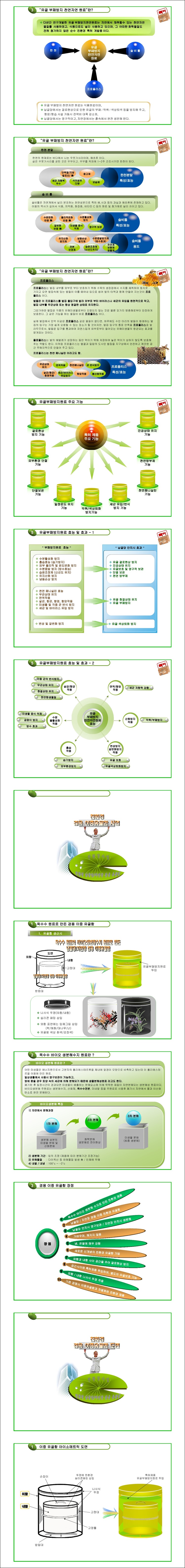 특허 제10-1220504호(친환경 생분해성 유골함을 이용하여 유골을 고체화시키는 방법, 민삼주, 